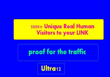 send 5000+ Unique Real Human Visitors to your LINK and proof for the traffic just