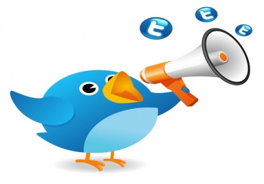 add over 7,000+ Twitter FOLLOWERS To your Twitter Account without needing your p word or admin access within 12 hours